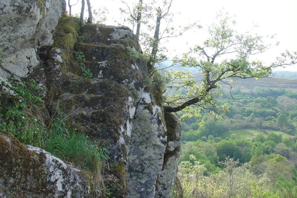 Foto 78 da atividade Galeria de Fotos