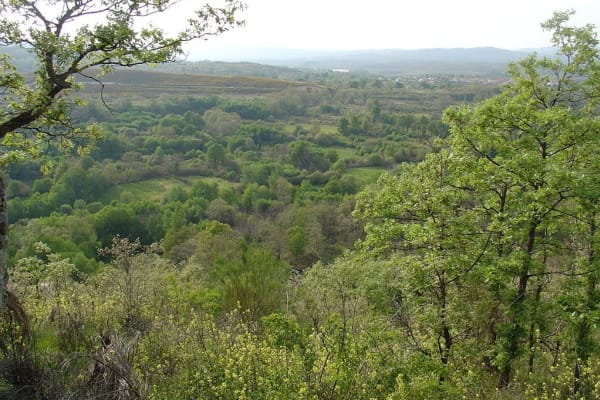 Foto 71 da atividade Galeria de Fotos