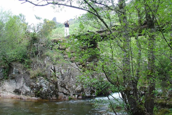 Foto 65 da atividade Galeria de Fotos