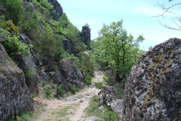 Foto 42 da atividade Galeria de Fotos