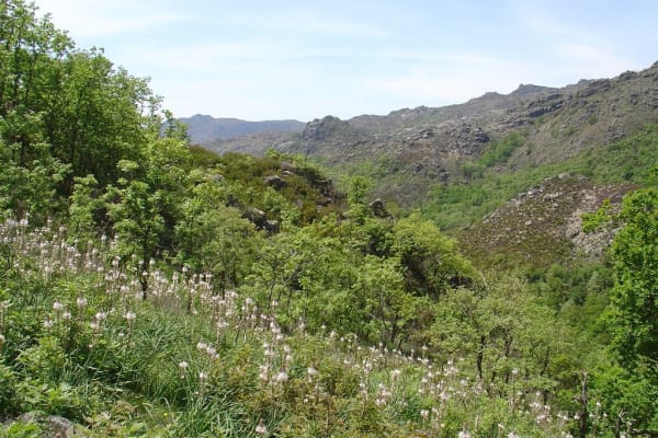 Foto 30 da atividade Galeria de Fotos