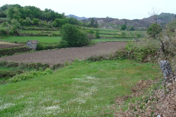 Foto 29 da atividade Galeria de Fotos