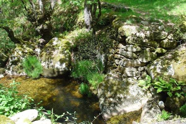 Foto 17 da atividade Galeria de Fotos