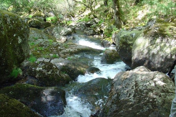 Foto 13 da atividade Galeria de Fotos