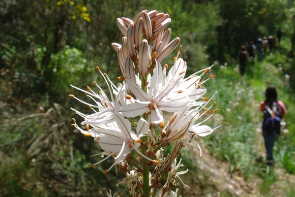 Foto 11 da atividade Galeria de Fotos