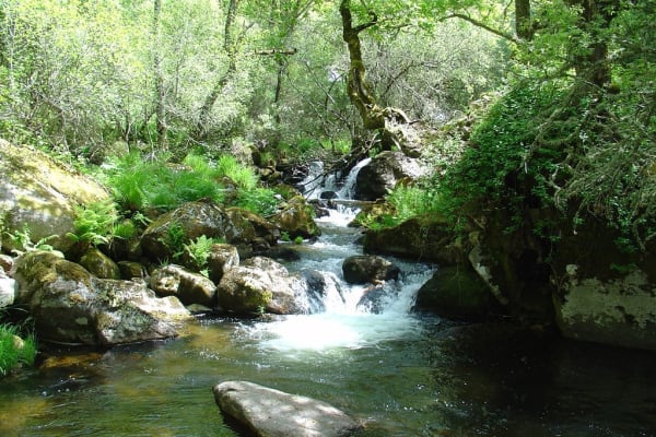 Foto 4 da atividade Galeria de Fotos