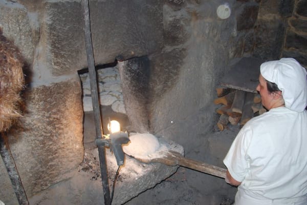 Foto 40 da atividade Galeria de Fotos