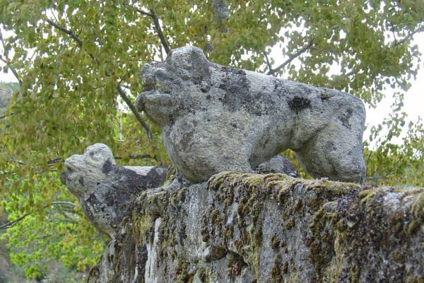 Foto 20 da atividade Galeria de Fotos