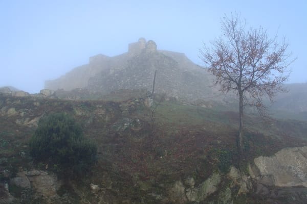 Foto 115 da atividade Galeria de Fotos