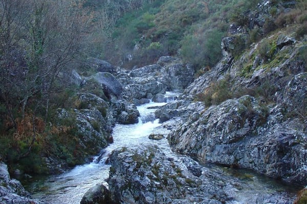 Foto 104 da atividade Galeria de Fotos