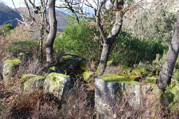 Foto 76 da atividade Galeria de Fotos