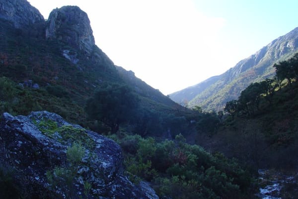 Foto 51 da atividade Galeria de Fotos