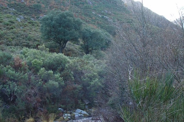 Foto 33 da atividade Galeria de Fotos