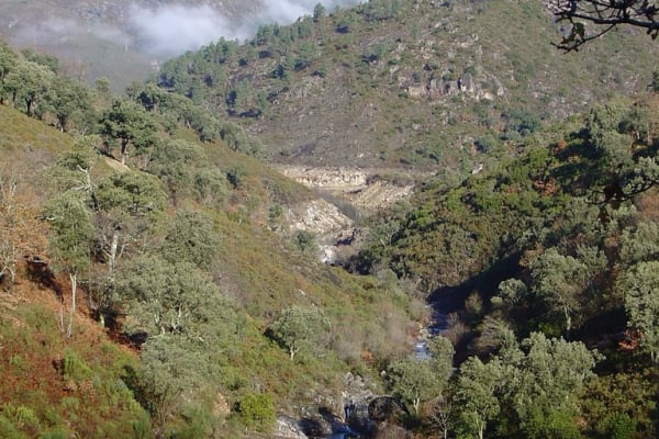 Foto 24 da atividade Galeria de Fotos