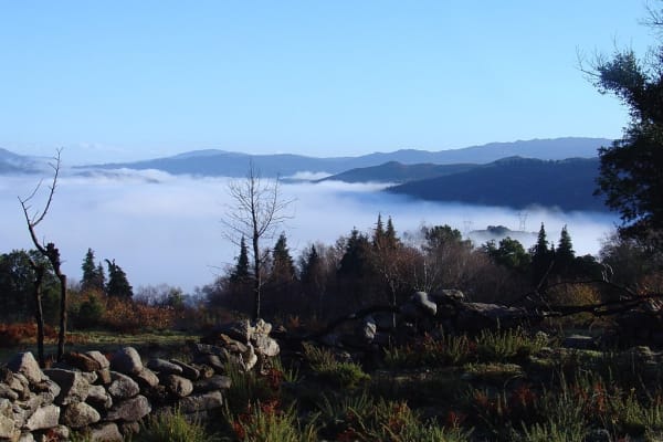 Foto 7 da atividade Galeria de Fotos