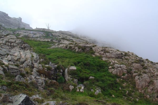 Foto 80 da atividade Galeria de Fotos