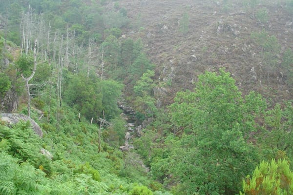 Foto 78 da atividade Galeria de Fotos