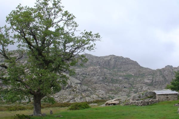 Foto 62 da atividade Galeria de Fotos