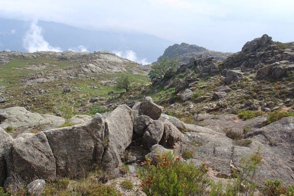 Foto 58 da atividade Galeria de Fotos