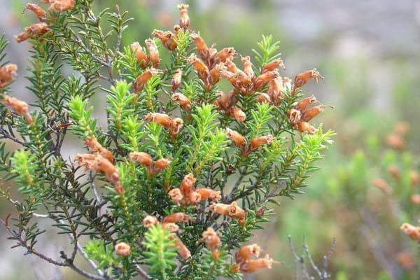 Foto 57 da atividade Galeria de Fotos