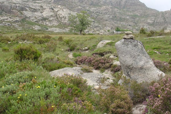 Foto 35 da atividade Galeria de Fotos