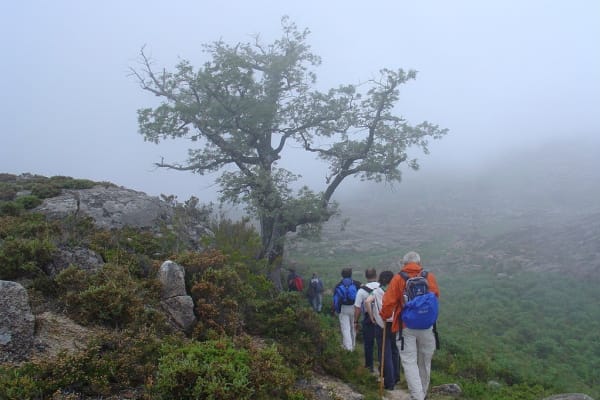 Foto 3 da atividade Galeria de Fotos