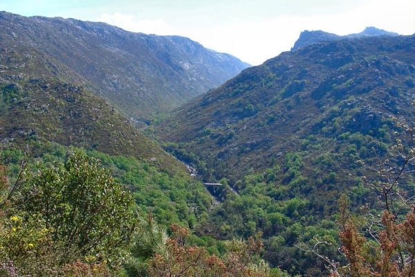 Foto 79 da atividade Galeria de Fotos