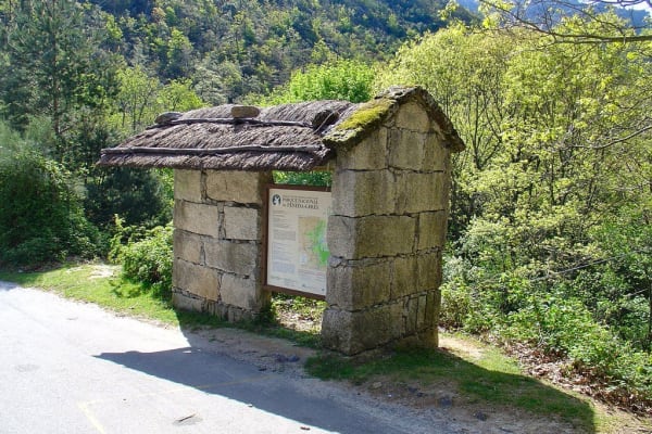 Foto 76 da atividade Galeria de Fotos