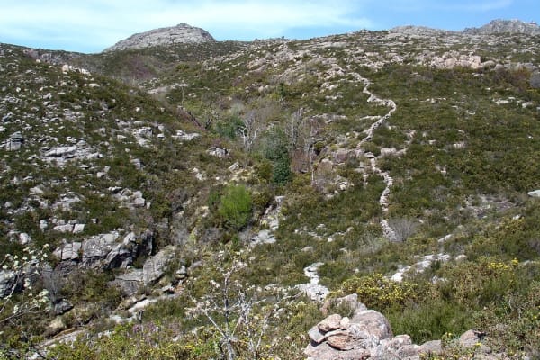 Foto 78 da atividade Galeria de Fotos