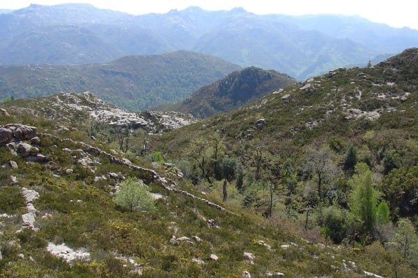 Foto 75 da atividade Galeria de Fotos