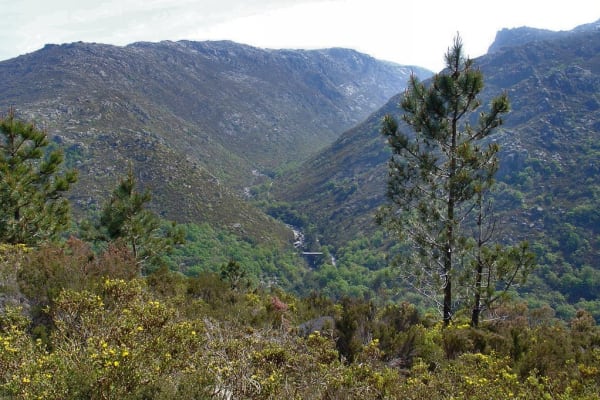 Foto 67 da atividade Galeria de Fotos