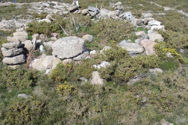 Foto 62 da atividade Galeria de Fotos