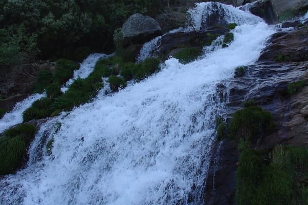 Foto 55 da atividade Galeria de Fotos