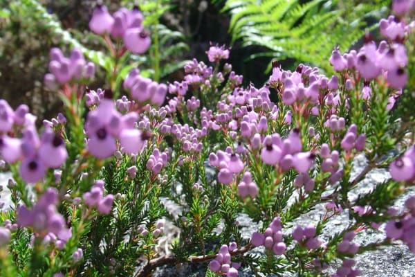 Foto 45 da atividade Galeria de Fotos