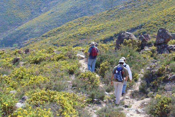 Foto 41 da atividade Galeria de Fotos