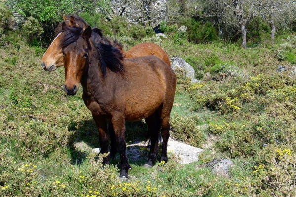 Foto 30 da atividade Galeria de Fotos