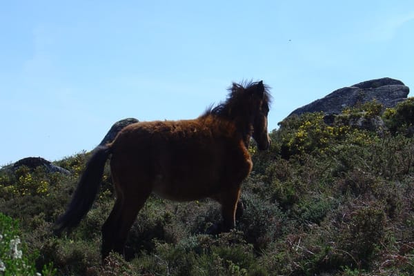 Foto 22 da atividade Galeria de Fotos