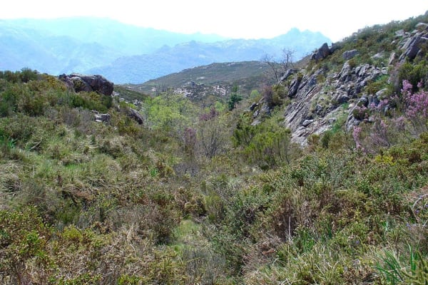 Foto 8 da atividade Galeria de Fotos