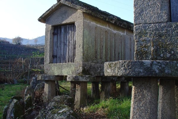 Foto 119 da atividade Galeria de Fotos