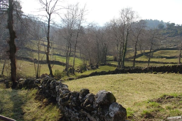 Foto 91 da atividade Galeria de Fotos