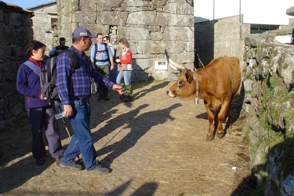 Foto 84 da atividade Galeria de Fotos