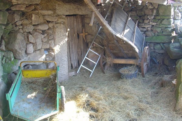 Foto 73 da atividade Galeria de Fotos