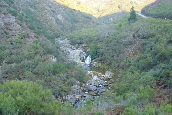 Foto 48 da atividade Galeria de Fotos