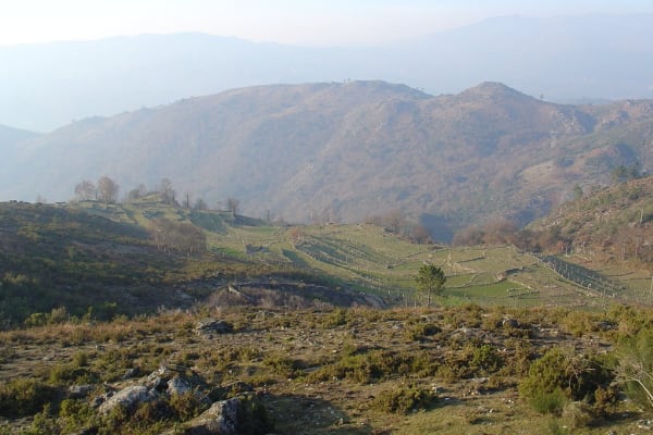 Foto 38 da atividade Galeria de Fotos