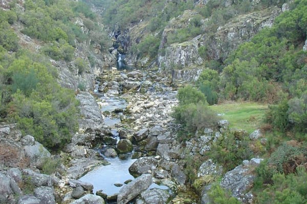 Foto 22 da atividade Galeria de Fotos