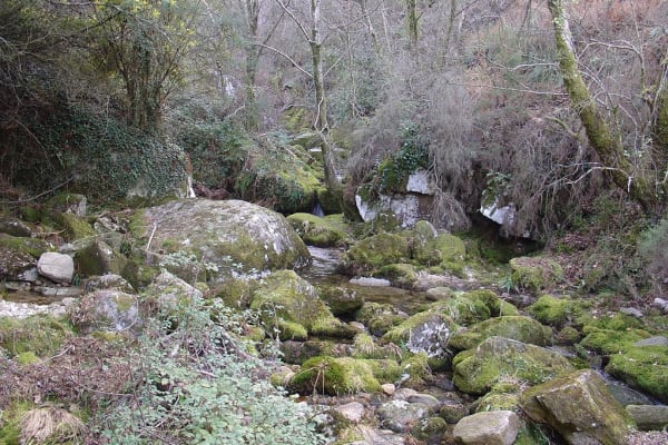 Foto 6 da atividade Galeria de Fotos