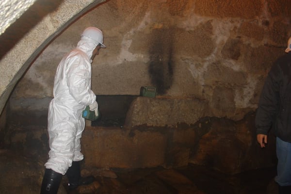 Foto 88 da atividade Galeria de Fotos