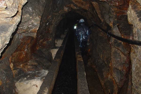 Foto 74 da atividade Galeria de Fotos