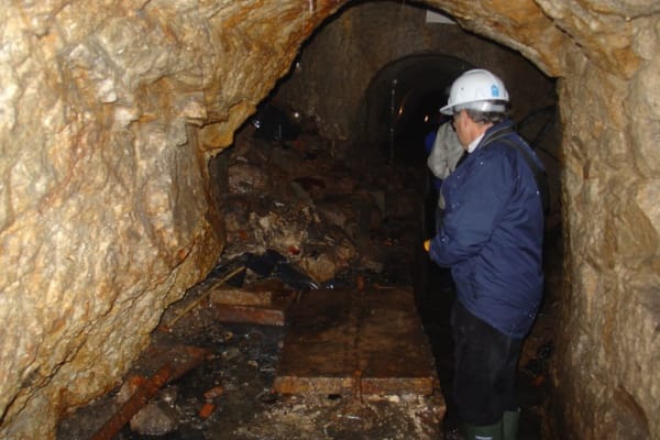 Foto 72 da atividade Galeria de Fotos