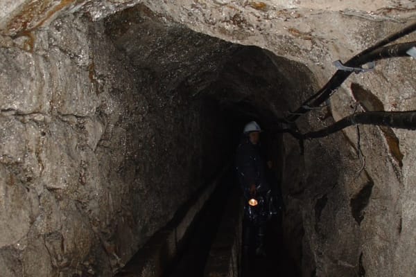 Foto 62 da atividade Galeria de Fotos